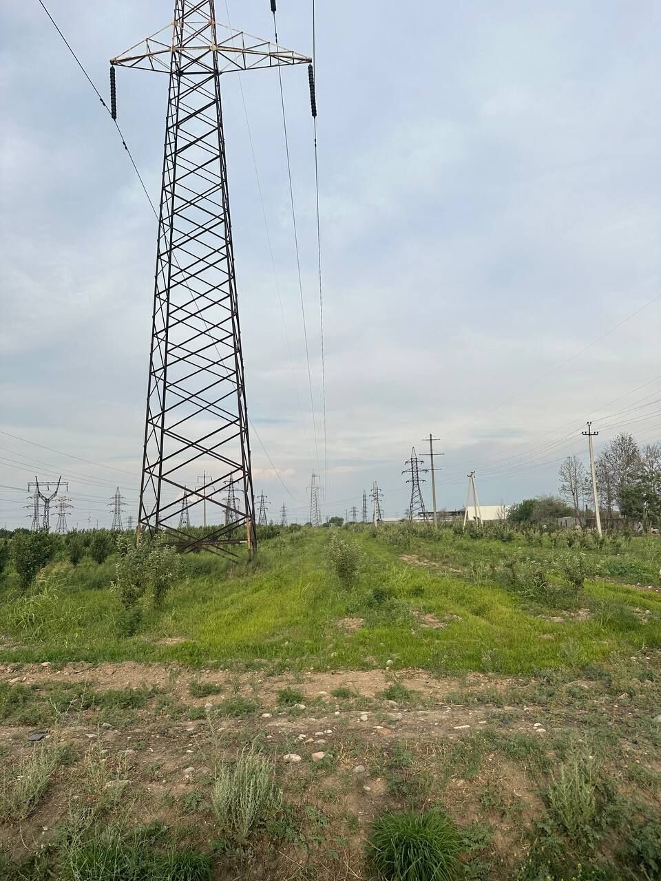 Изображение №1